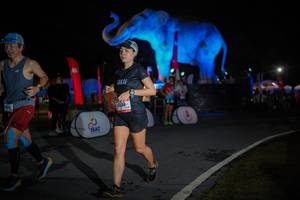 BIB: 
                            <button type="button" onclick="openModal(26551868)" class="btn btn-primary btn-sm float-right btn-popup" data-toggle="modal" data-target=".modal-high-quality">
                        <i class="fas fa-shopping-cart"></i> Add to Cart
                    </button>
                                            <button type="button" onclick="isThisMe(26551868, true)" class="btn btn-success btn-sm float-right btn-popup btn-isme hidden" data-toggle="tooltip" data-placement="bottom" title="นี่คือรูปของคุณใช่ไหม คลิกที่นี่เพื่อเอาเข้าอัลบั้ม">
                        <i class="fas fa-plus"></i> Add to album
                    </button>
                    <button type="button" onclick="isThisMe(26551868, false)" class="btn btn-warning btn-sm float-right btn-popup btn-isnotme hidden">
                        <i class="fas fa-ban"></i> Remove from album
                    </button>